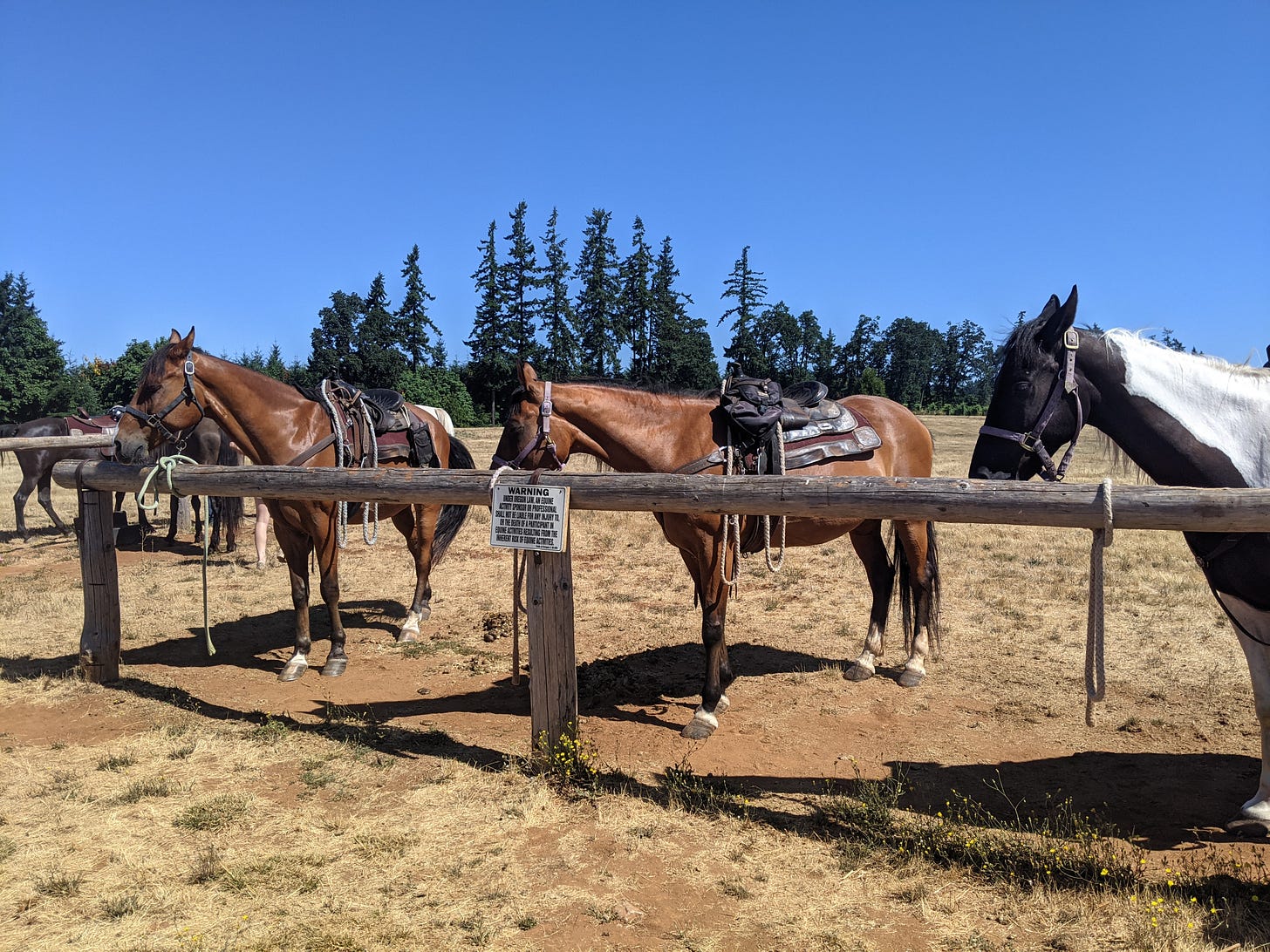 three horses hitched to a railing