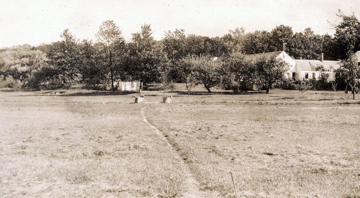 path leading to stone bridge