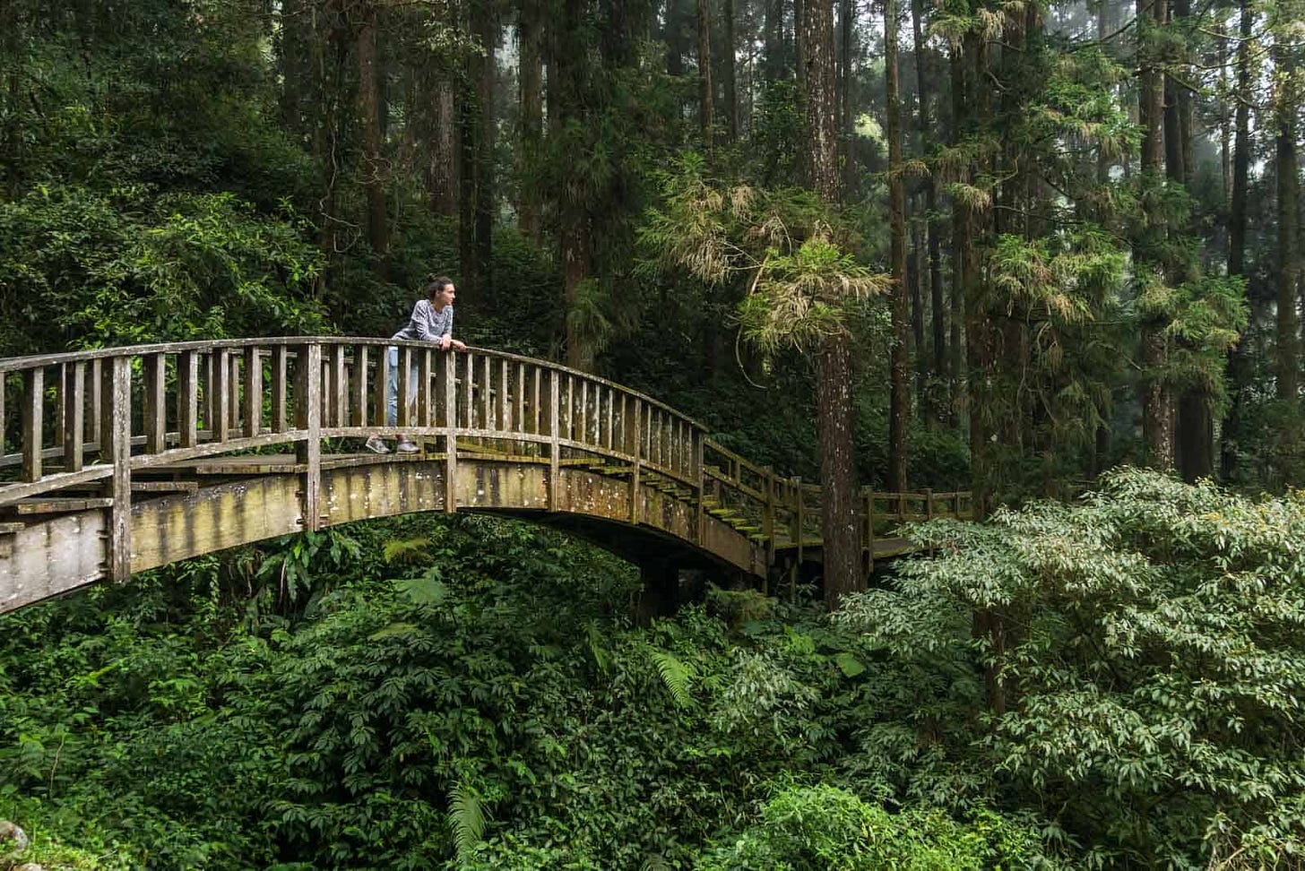 Forêt à Taiwan, Emilie Thoumoux sur un pont en bois