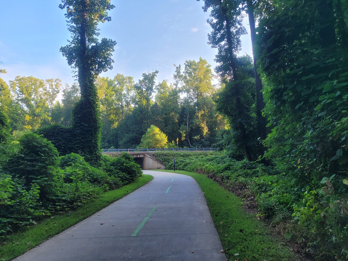 A paved running and biking path in a suburban town surrounded by trees and shrubs.