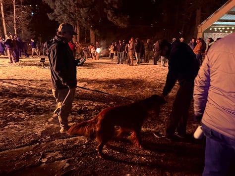 bonfire at the park in the snow