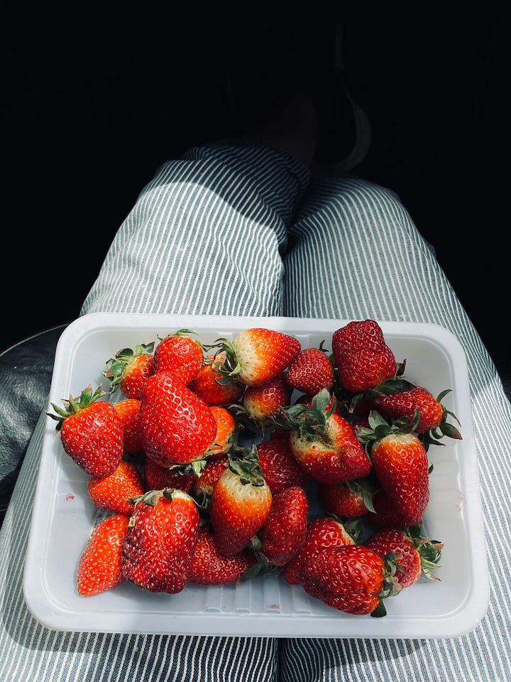 Plate of strawberries on a lap. Toast and tea. Photos by Marjan Sadeki and Alhanouf Khalid via Unsplash.