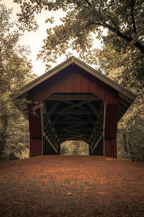 left panel: bunches of red and green apples; center panel: asters on a mountain; right panel: old covered bridge