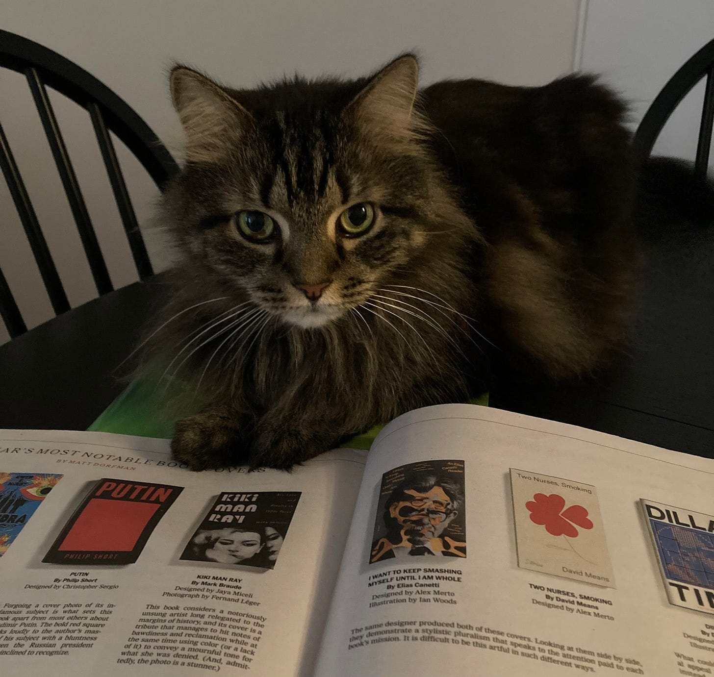 A cat sitting on a table