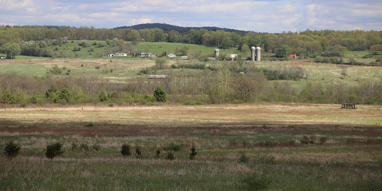 Getting around USDA prime farmland: New York is using own system to downgrade soils at solar complexes