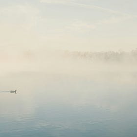 Inversions: A Lack of Consciousness is Directly Correlated to What we Refer to as "Climate Change"