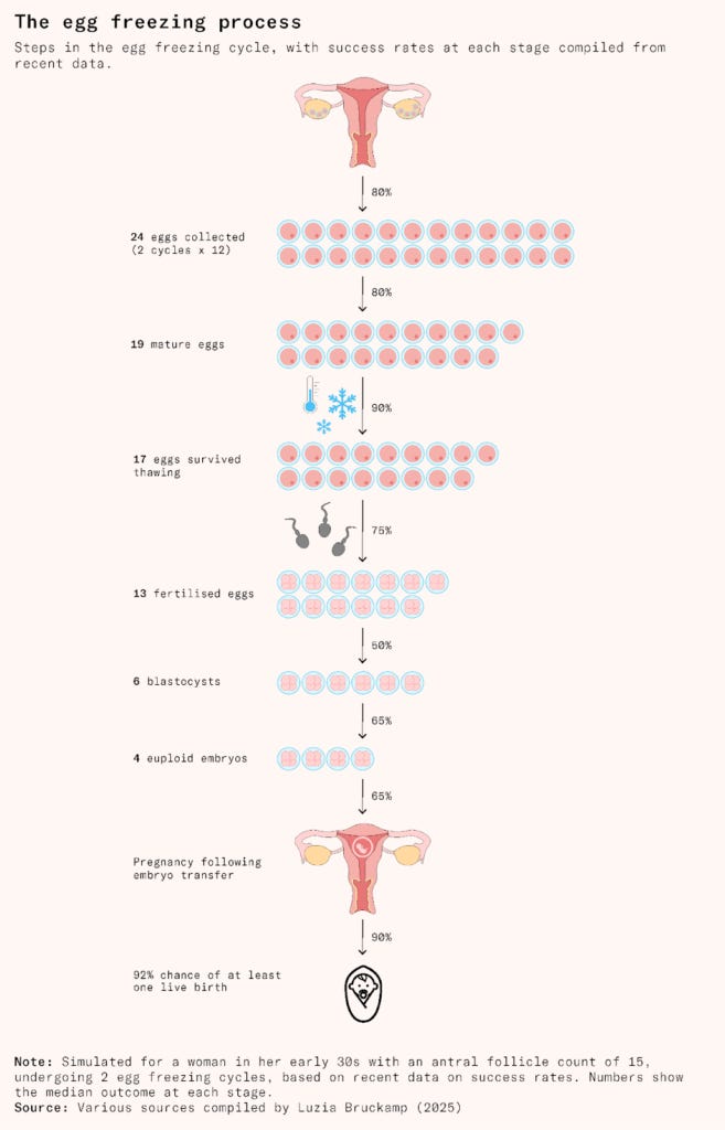 The truth about egg freezing