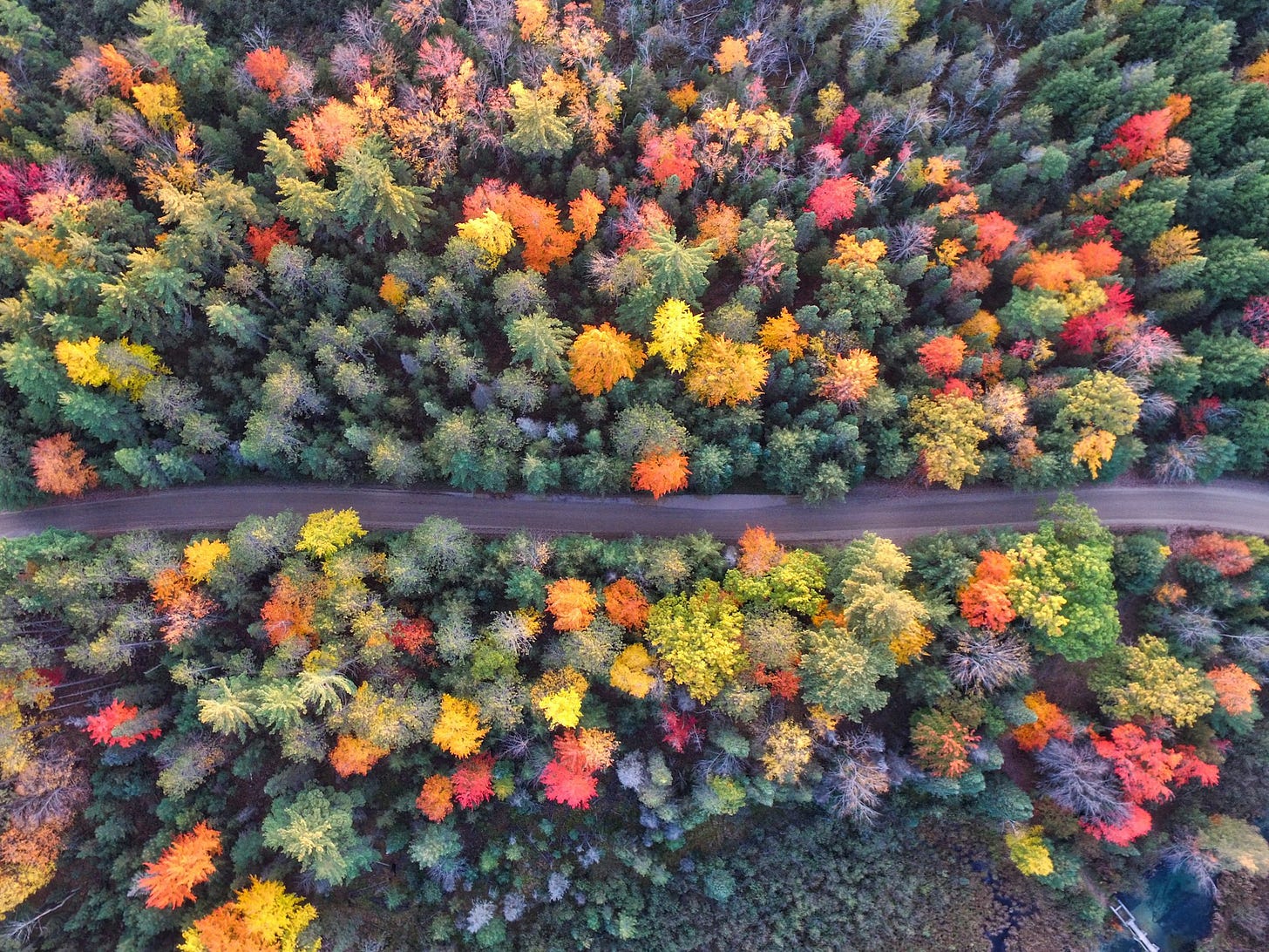 A road cutting through a forest in autumn