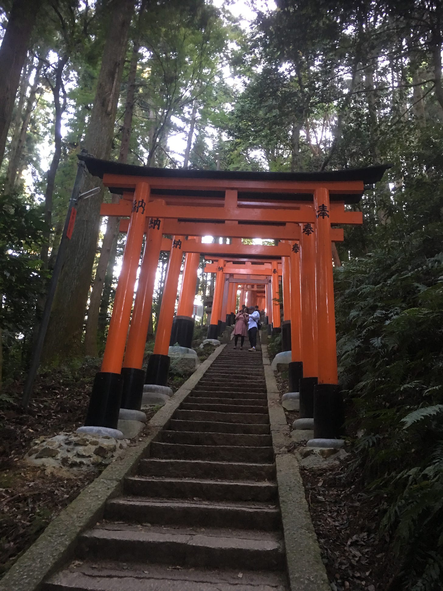 A set of vermillion red gates frame a steep staircase going up a mountain; old-growth trees flank each side of the path.  A pair of tourists can be spotted further up the stairs.
