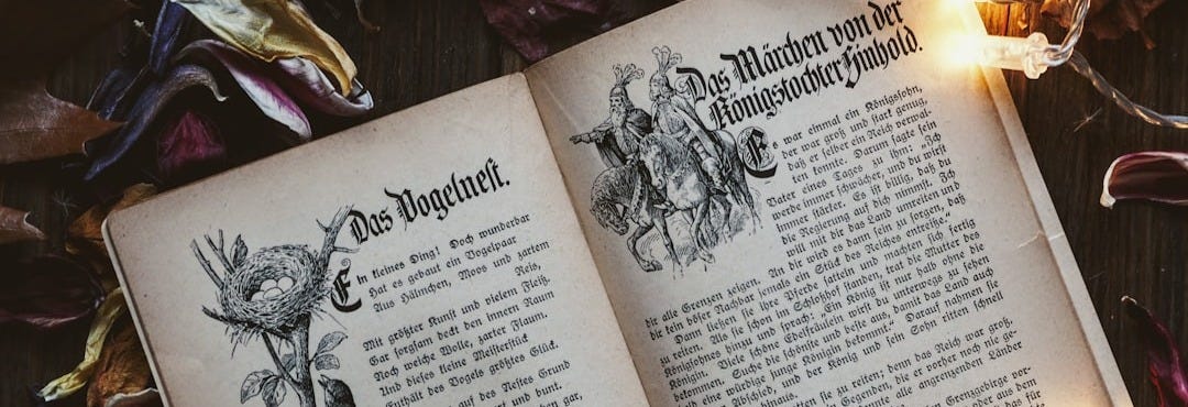 book open surrounded by lights and leaves book open surrounded by lights and leaves