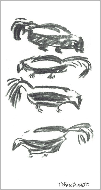 Primrose the Striped Skunk, page 3 (charcoal)