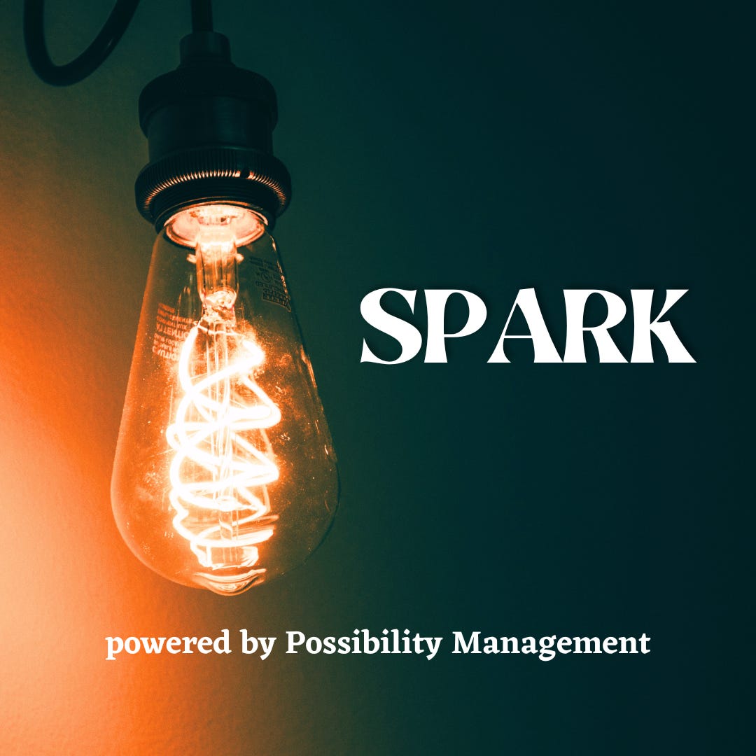 SPARK (Possibility Management)