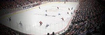 The Hockey Notebook