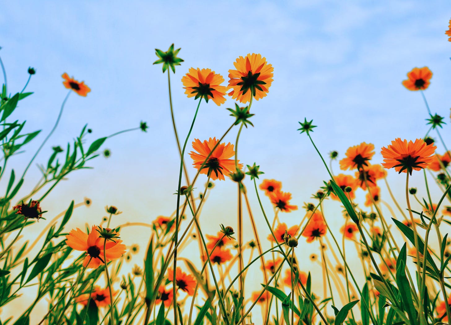 Beautiful Spirit, Yoga Nidra for Sleep