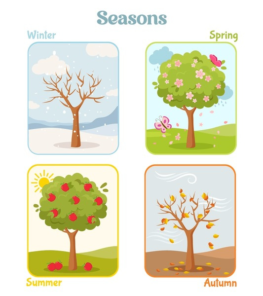 2+ Thousand Apple Tree Four Seasons Royalty-Free Images, Stock Photos &  Pictures | Shutterstock