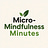 Micro-Mindfulness Minutes