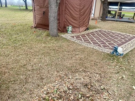 photos of the yard when I was just getting started and my step count on my Fitbit.