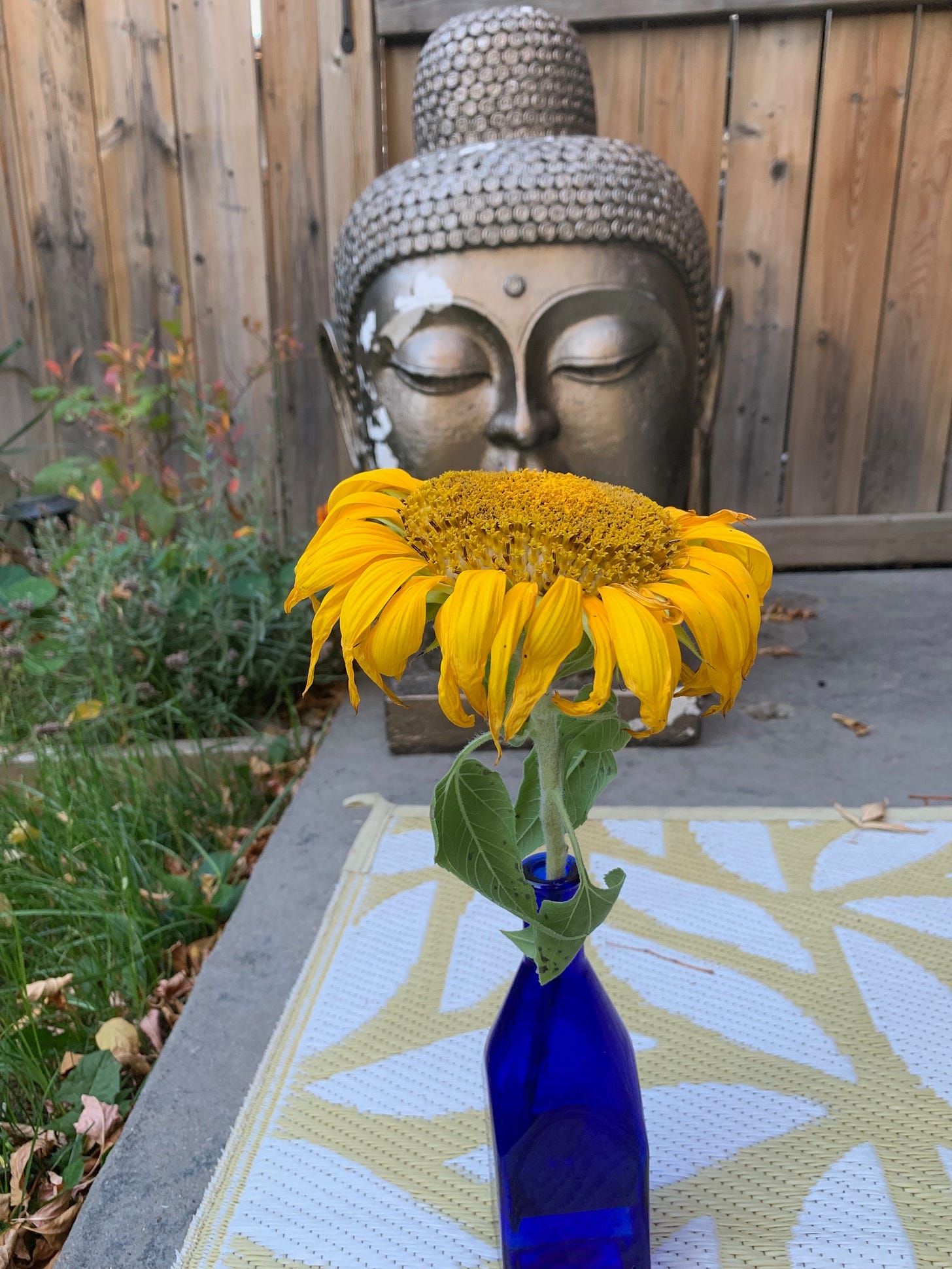 sunflower in a blue vase in front of a buddha statue