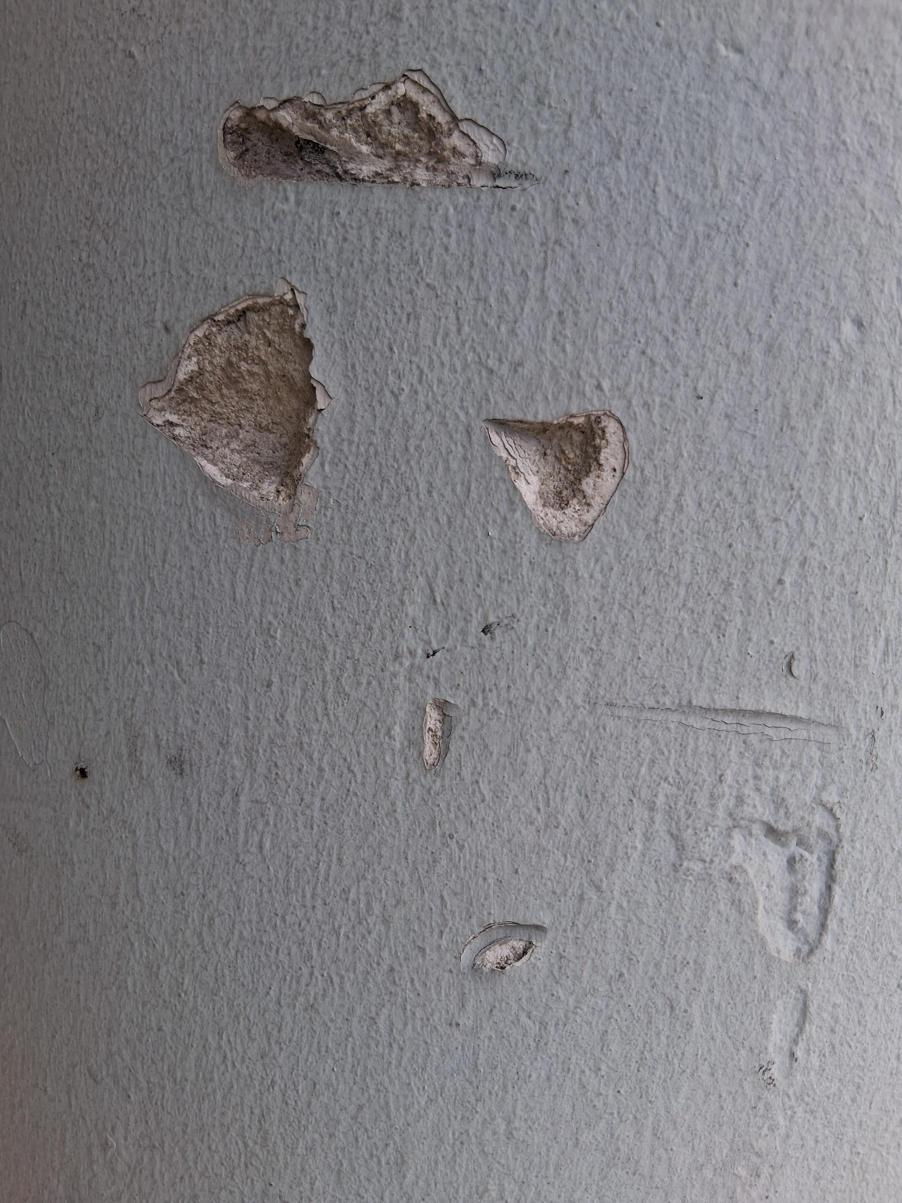 Artwork for little_pigeon