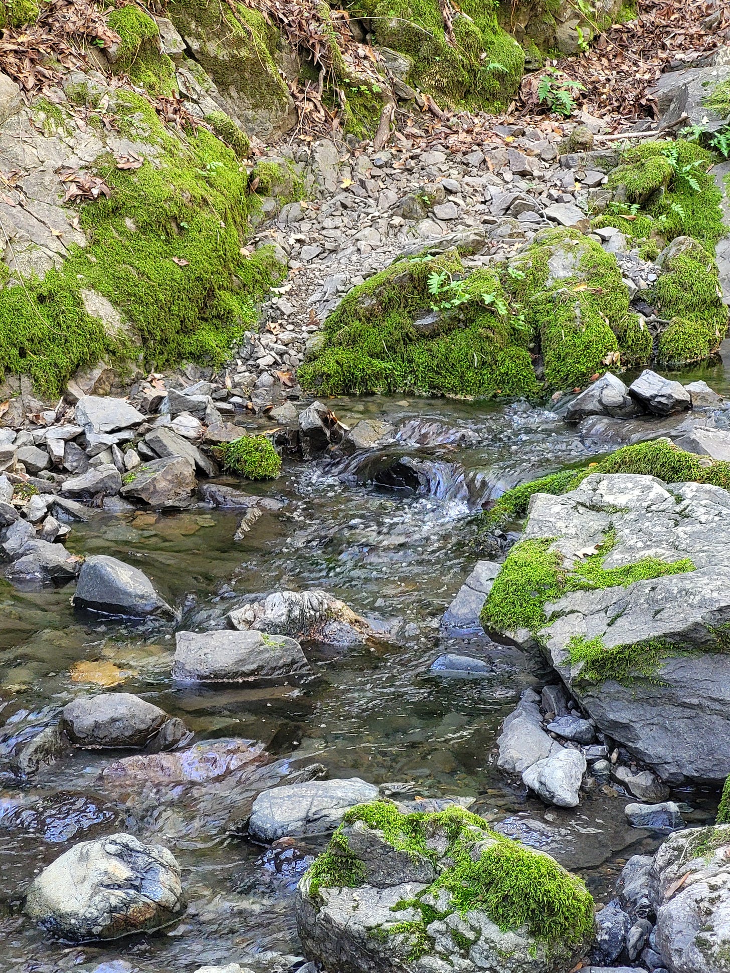 ¿Quién Movió mi Asiento?
