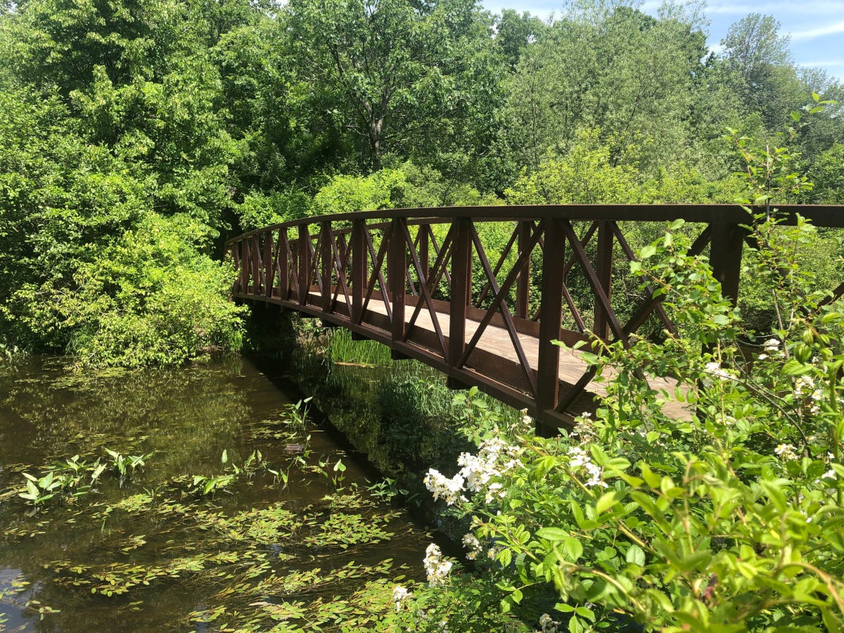 The target coordinate location for remote viewing, a picture of a bridge over a small stream