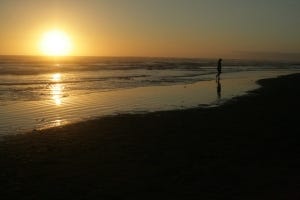 IMG_4362