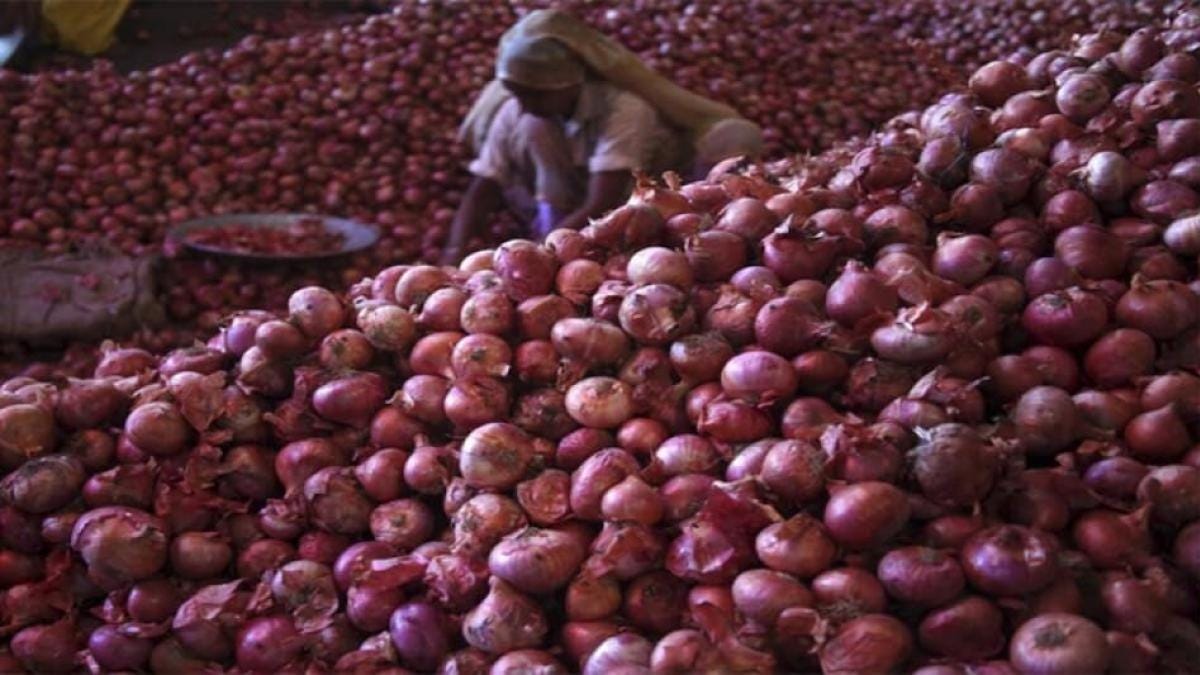 I feel insulted': Maharashtra farmer gets Rs 2.49 as profit after selling  512 kg onions - BusinessToday