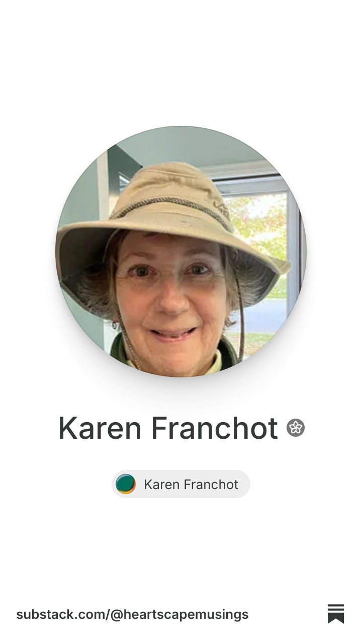 Karen Franchot | Substack