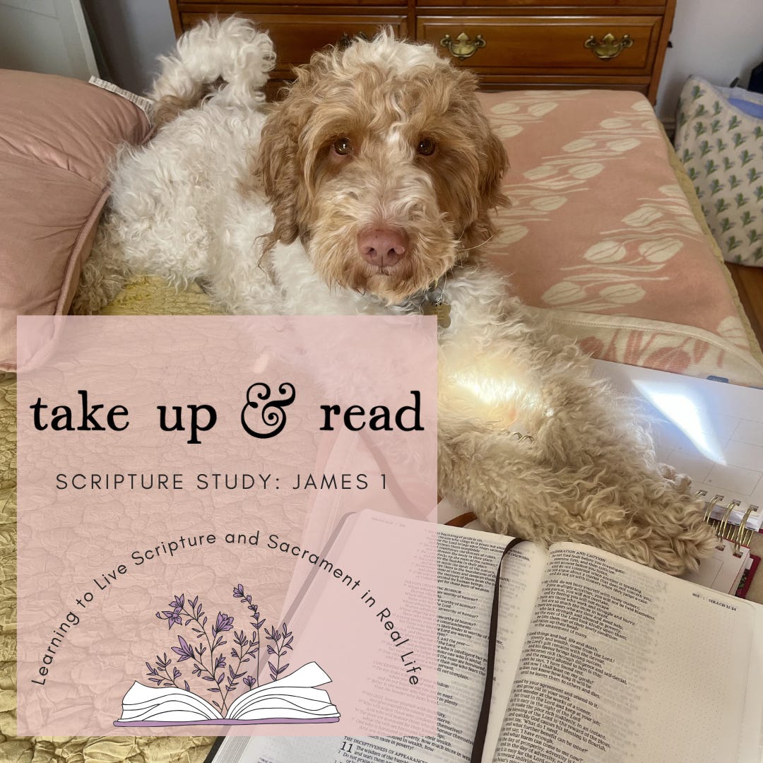 Anchored in the Storm - Elizabeth Foss | Take Up & Live