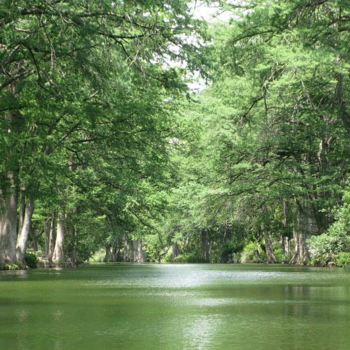 Mary Beth’s Substack