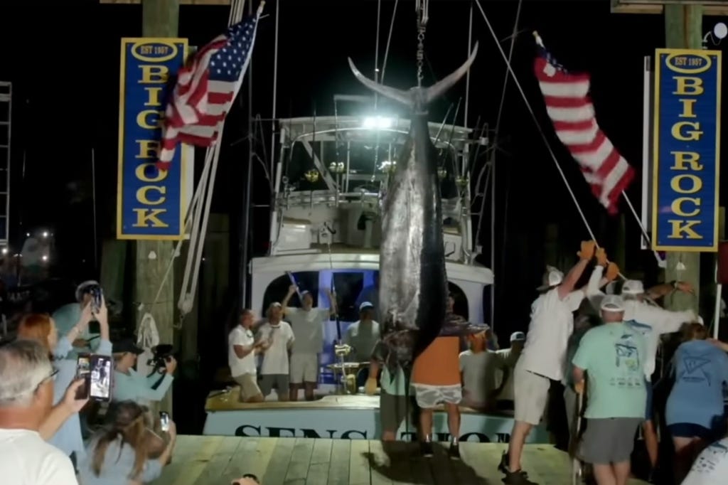 Fishing crew wins a multi-million dollar prize in a high-stakes tournament in North Carolina.