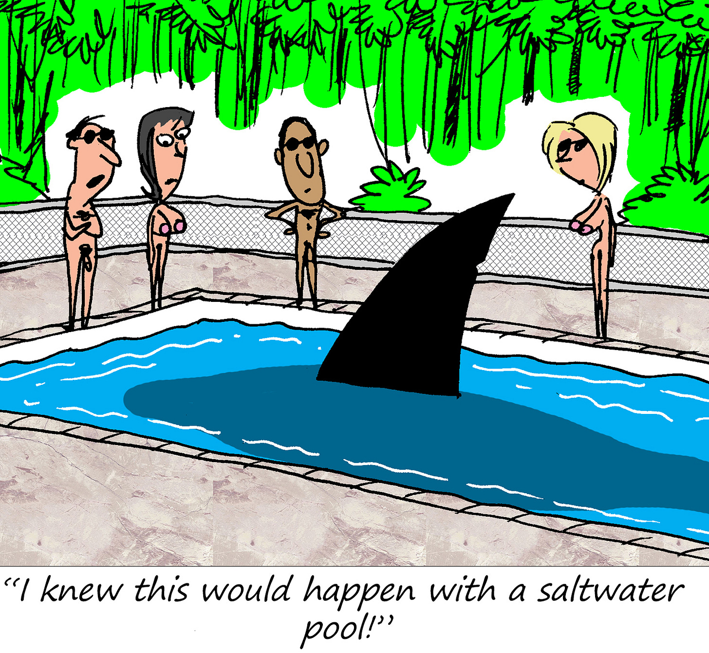 A cartoon shows four nude people standing around a swimming pool, staring at a large shark fin in the water. The caption at the bottom reads: “I knew this would happen with a saltwater pool!”