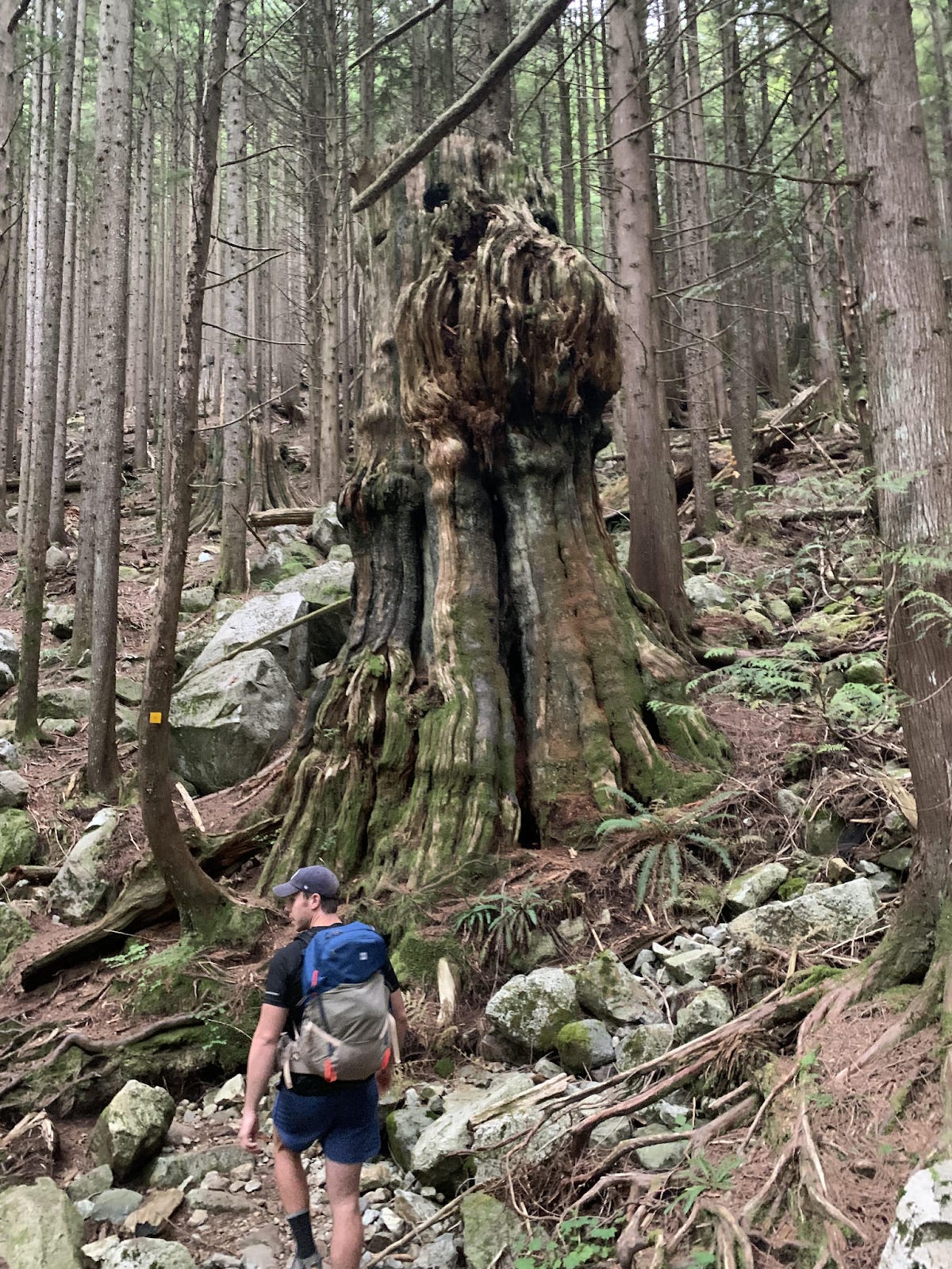 Summer expeditions from Lynn Headwaters Regional Park, BC, Canada. September 2021.