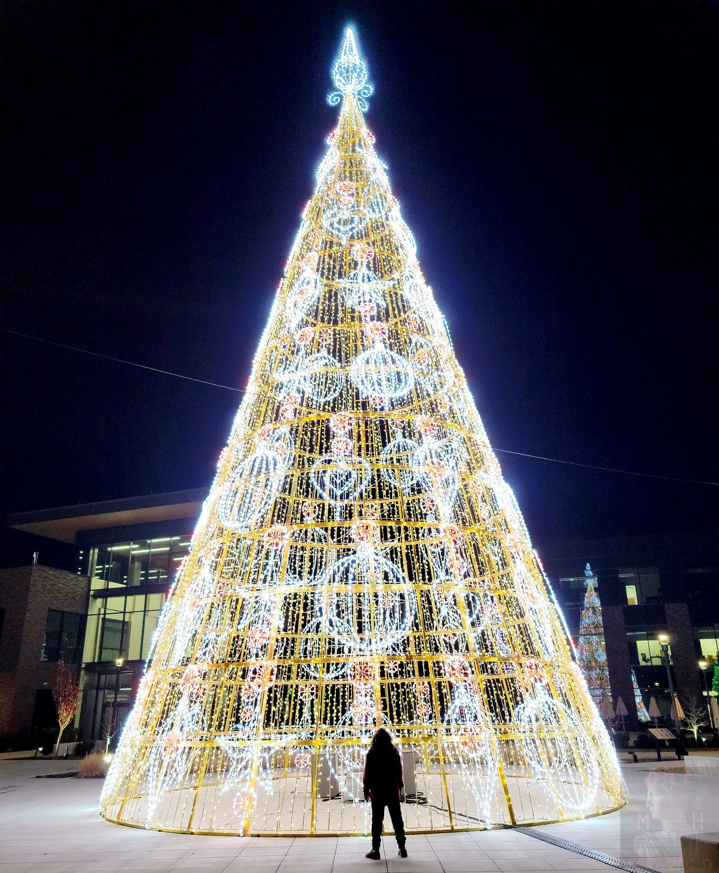 Photo of a young boy - the author's nephew - staring up at a large holiday tree made of lights, some shaped like ornaments Photo of a young boy - the author's nephew - staring up at a large holiday tree made of lights, some shaped like ornaments