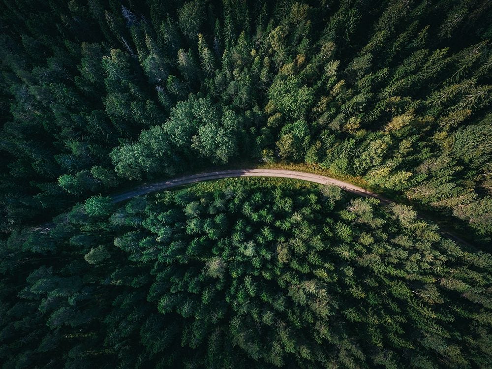 Forest From Above Images | Free Photos, PNG Stickers, Wallpapers &  Backgrounds - rawpixel