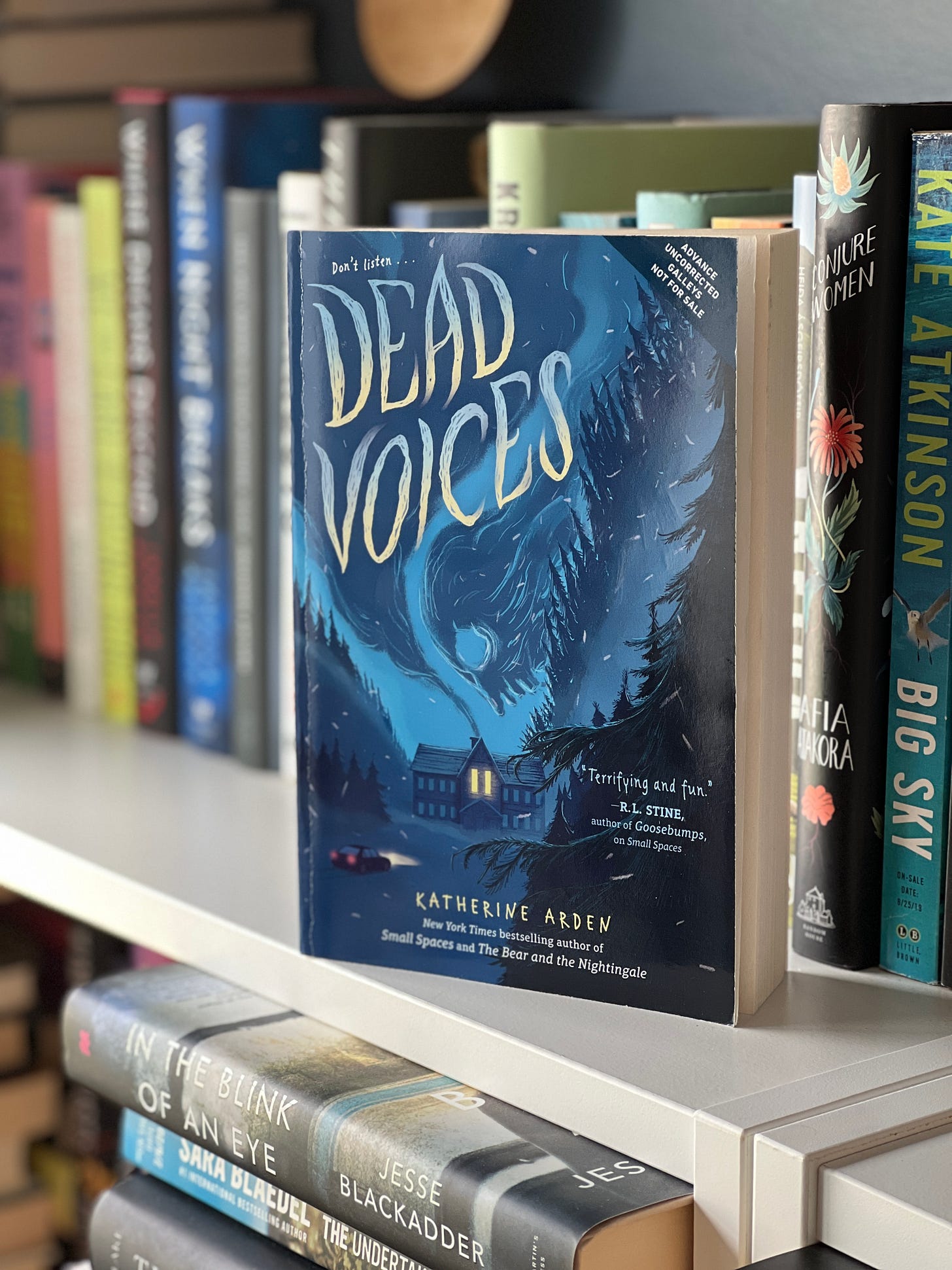 The book Dead Voices on a shelf in front of a bunch of other books. 