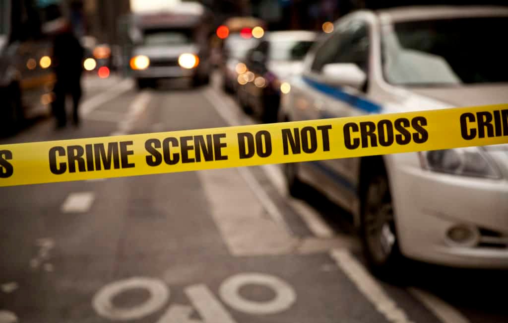 The Perfect Murder