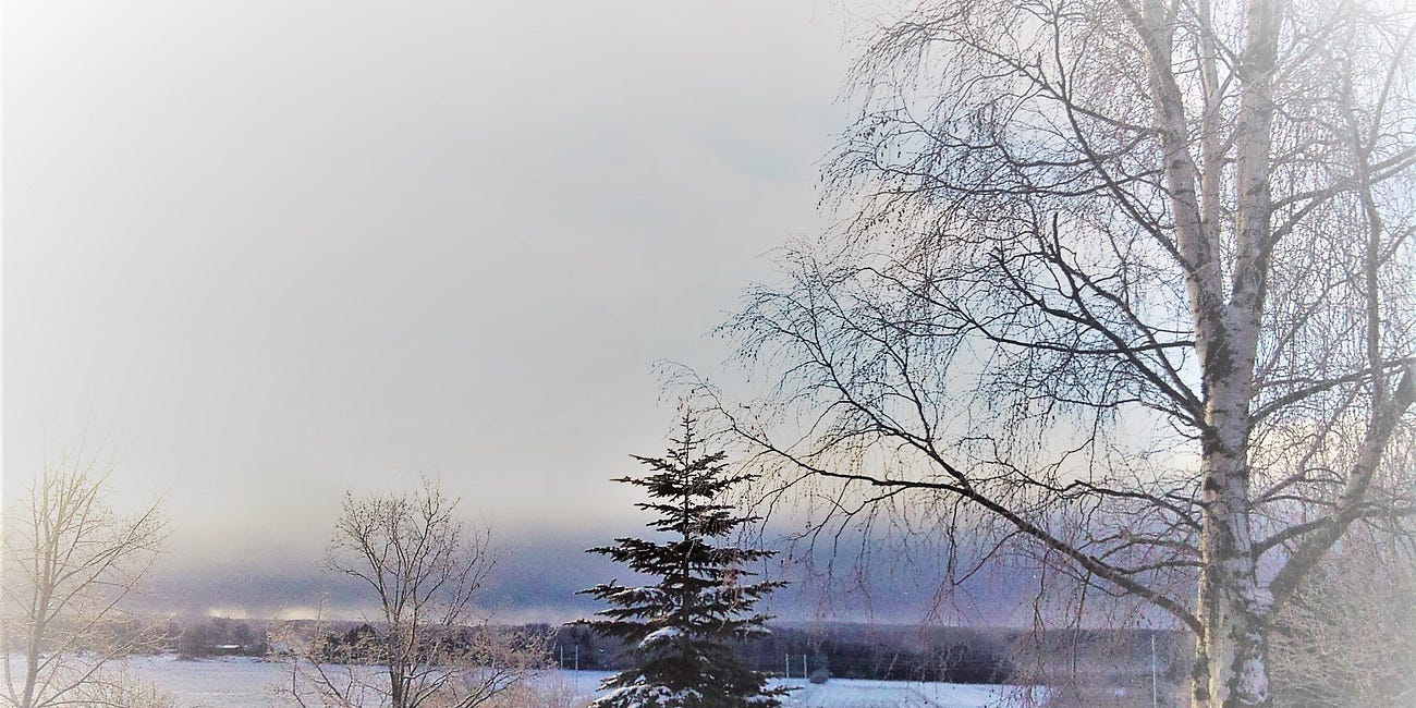My last days in Viking Land - 2012 December