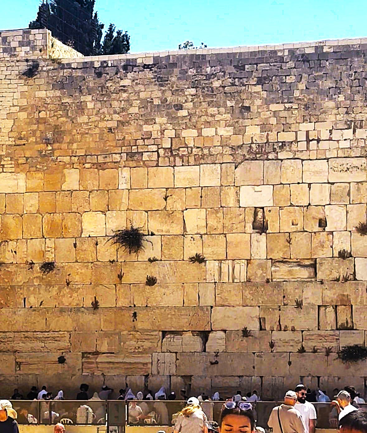 The Temple Wall - by Candy Shany: The Falcon's Eye