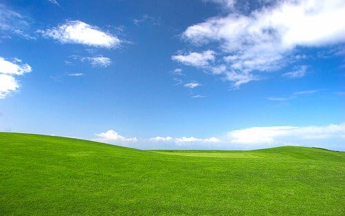USDA Conservationist Recognizes Iconic Microsoft “Wallpaper” from Field  Work | Home
