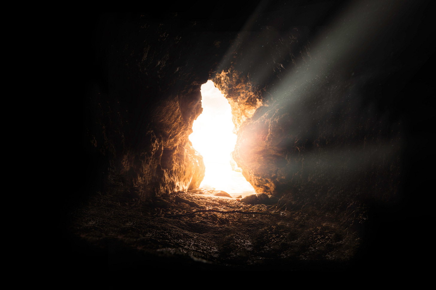Copyright: Bruno van der Kraan @Unsplash