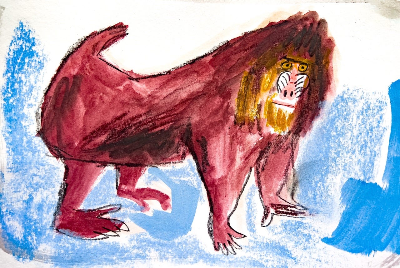 mandrill illustration by Beth Spencer