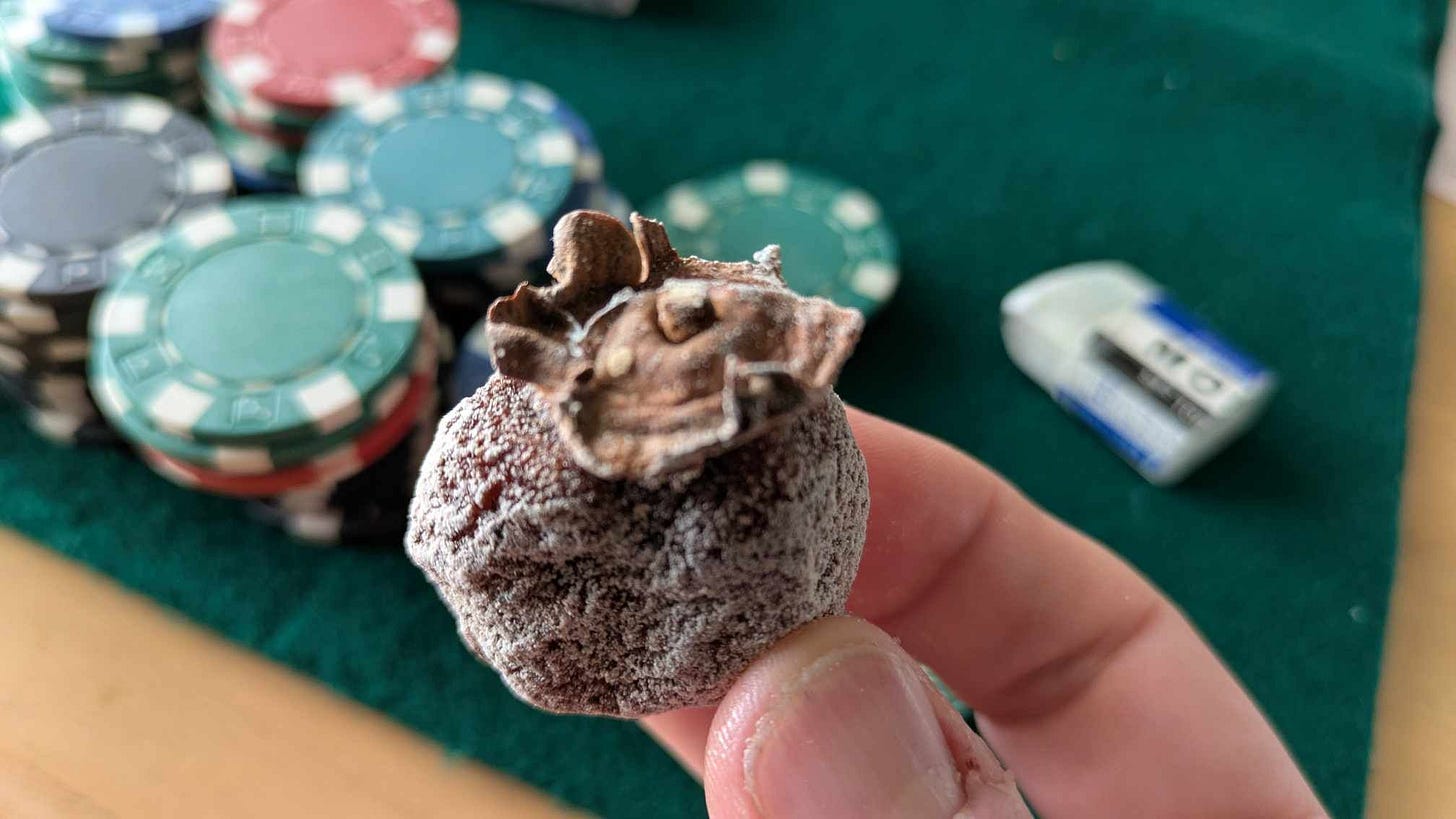 No description available.