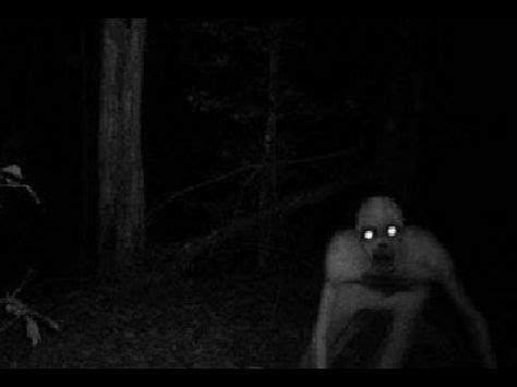 Real Monster Caught On Camera in Woods - Original Translated Video ...
