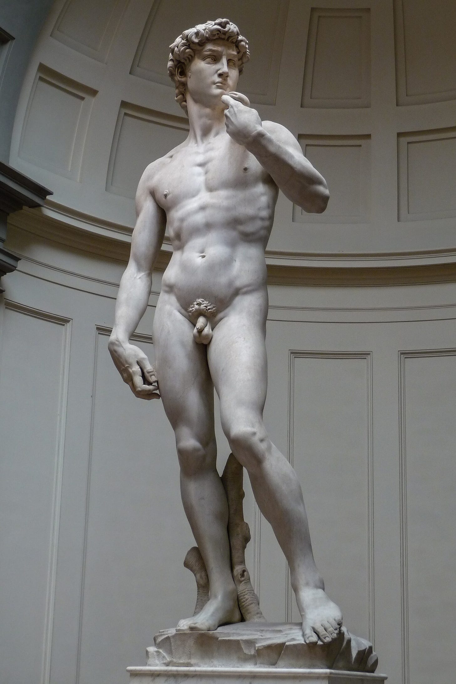 Marble statue of Michelangelo's David, weight on one leg, in the Galleria dell'Accademia, Florence Marble statue of Michelangelo's David, weight on one leg, in the Galleria dell'Accademia, Florence