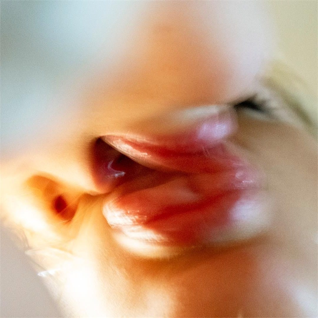 An image added by vancouver72 on Dec 08, 2024. May present: close-up.
