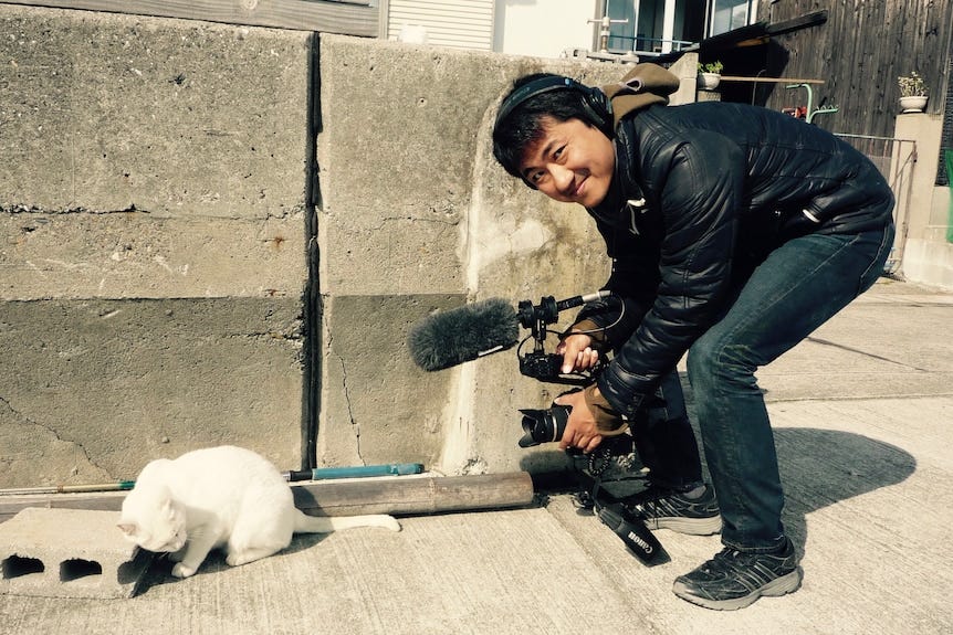 The Cats of Gokogu Shrine focuses on the feline residents of a coastal  village, and how humans and animals can co-exist - ABC News