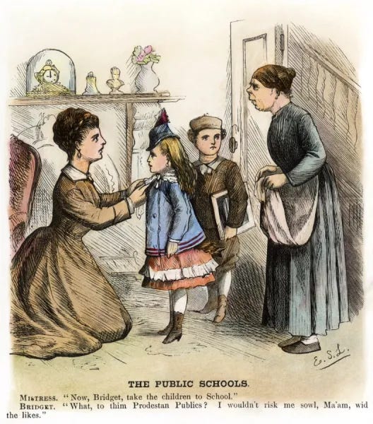  : CARTOON: IRISH IMMIGRANTS, 1873. The Public Schools