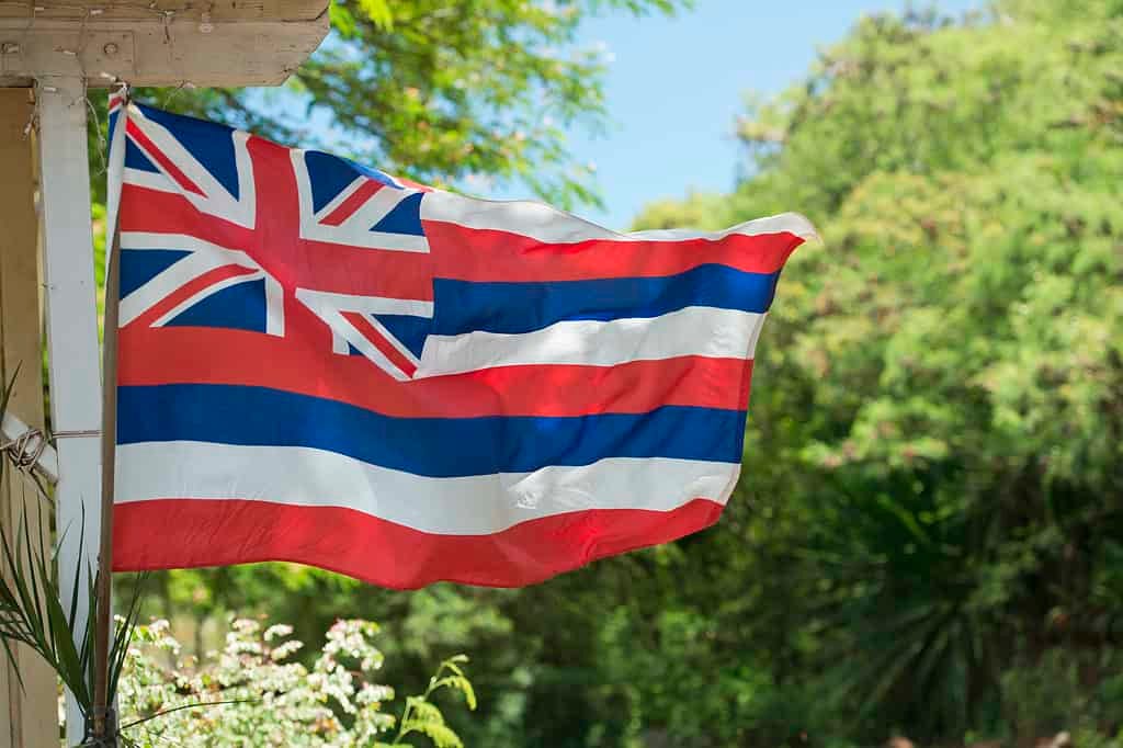 Flag of Hawaii waving Flag of Hawaii waving