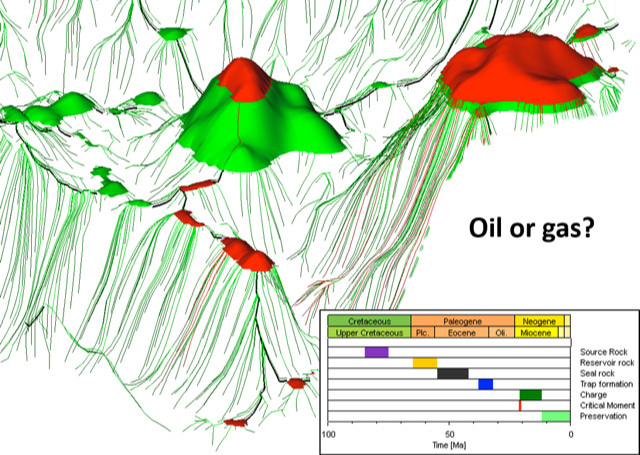 PETROLEUM SYSTEMS ANALYSIS AND MODELING